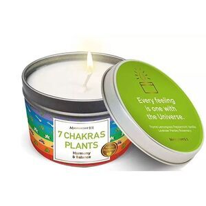 Magnificent 101 7 Chakras Plants Harmony and Balance Smudge Candle 6 OZ